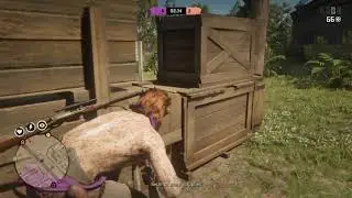 Plunder RDO