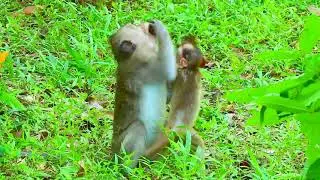 REQUEST FOOD ELPIDA BABY HUNGRY