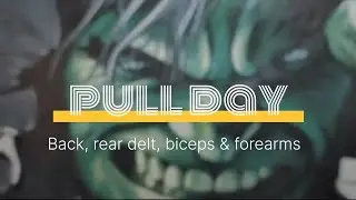 Pull day: back, rear delt, Biceps &forearms #pushpulllegs 