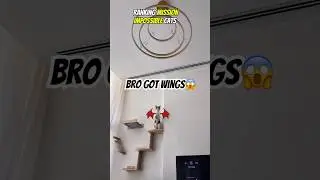 Funny Cats Doing Mission Impossible stunts😂💥#shorts