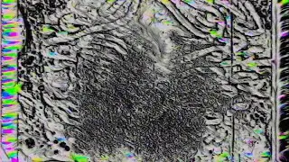 ДЪБЕЦ pres. Les Nouveaux Hivers 20/12/2025 (visuals by wrighter)