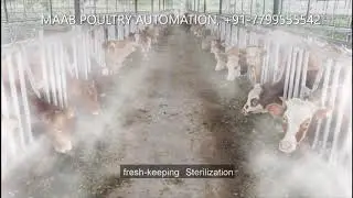 High pressure Misting pump