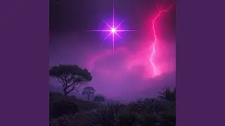 Scars And Stardust
