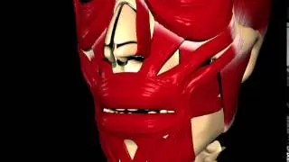 AU 20 Lip Stretcher