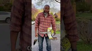 You Won't Believe Why the Broom Got Promoted 🧹 | Your Daily Dad Joke | Funny Video | Jokes