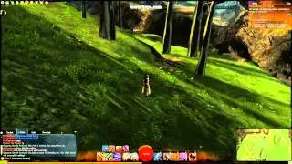 GW2 - Jump and Roll Somersault