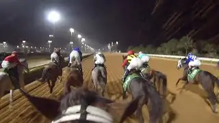 Ride Senor Buscador in the $20 Million Saudi Cup (G1)  -  2/24/24 - King Abdulaziz Racecourse