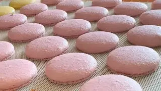 Petit Macaron : Macarons in 2 colors : 2024.09.06