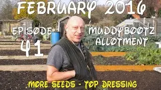 Участок MuddyBootz №41 &mdash; изобилие семян &mdash; грядки для подкормки &mdash; выставка съедобных растений 2016 г.