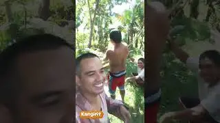 Ligaw  ng bahay 