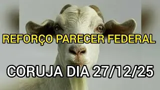 REFOR&Ccedil;O E PARECER FEDERAL E CORUJA DIA 27/12/25 (SORTE A TODOS)@canaldomarcao1969 