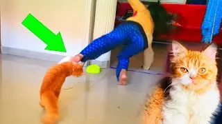 LAZYI DUDYയെ ആക്രമിച്ച് തള്ളിയിട്ടു 😳 UNBELIEVABLE 🔥 UNBOXINGDUDE l