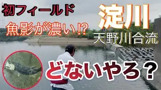 淀川・天野川合流地点【ブラックバス釣り】　魚影が濃い⁉︎ ワクワクしまっせ