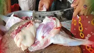 Excellent Mutton Cutting Skills In Bangladesh | Goat Meat Cutting Skills 2024 | @cuttingstore