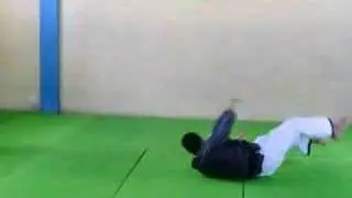 Hapkido Hankido Dojan