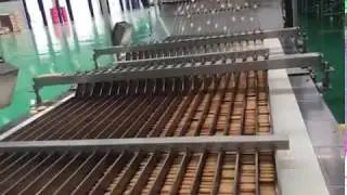 Biscuit stacker