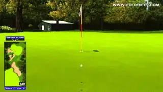 Golden Tee Great Shot on Shady Acres!