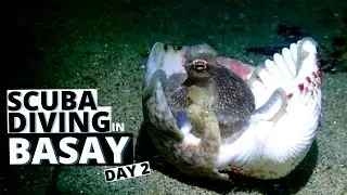Exploring Underwater in Basay, Negros Oriental | Scuba Diving Philippines