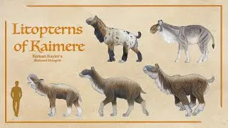 The Troqatul: Litopterns of Kaimere