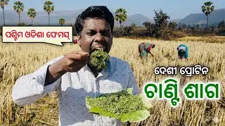ଦେଶୀ ପାର୍ଟ-6 🥦 ପଶ୍ଚିମ ଓଡିଶା ଫେମସ୍ ଚାଣ୍ଟି ଶାଗ👌Vitamin C, Antioxidant,Fibre,Fe,CH₂O, Ca 🥬 Netra Kishan