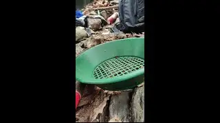 Decaying Bedrock and Gold Panning in the winter #goldmining #goldpanning #goldprospecting