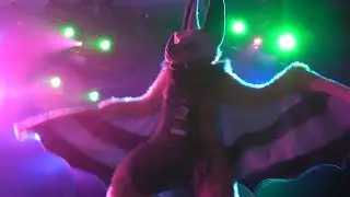 RAINFURREST 2015 RAVE