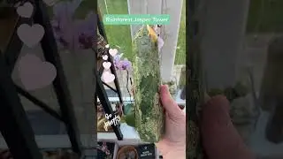 #rainforest #rainforestjasper #thewitchyroom #gaia #nature #connectwithnature