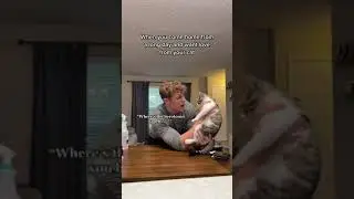 Asking my cat to love me