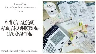 Sneak Peek!! Stampin' Up! Mini Catalogue and Sale-a-bration unboxing haul