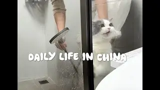 daily life | Giving cats a bath | Knitting a scarf | Cooking breakfast, lunch and dinner