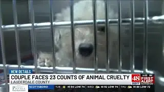 Lauderdale County District Attorney wants judge to allow adoption of seized dogs