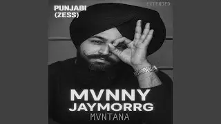 Punjabi (Zess)