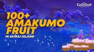 Amakumo Fruit Route - Seirai Island | Genshin Impact