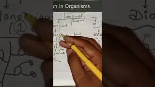 Understand Monoecious plants & Dioecious plant #shorts #short