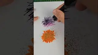 Circles and Colors 🖌