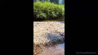 Camping near Lake Kachess