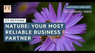 Nature: Your Most Reliable Business Partner | FT Rethink