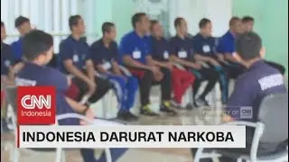Indonesia Darurat Narkoba, Optimalkan Rehabilitasi BNN di Lido