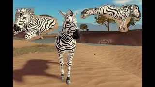 gameplay de zebra