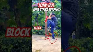 Tony Jaa Knee Strike tutorial 🥋💥 #tonyjaa #kneestrike #viral #trending #fight #shorts #muaythai