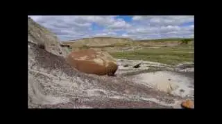 Concretions at Avonlea Badlands, Saskatchewan: A Challenging Habitat for Plants
