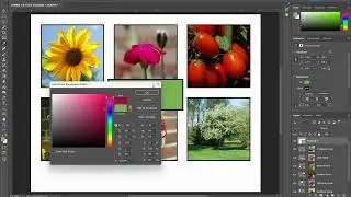 Panel of Photos