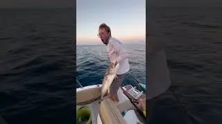 Sunset King Fish catch in Key West!!#adventure#gopro#travel#ocean#sunset#keywest