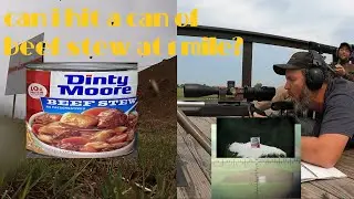 Can I hit a Dinty Moore beef stew can at a mile with my 375 Cheytac?