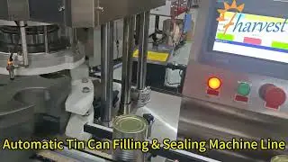 Double Head Rotor Pump Filler & Vacuum Can Sealer: Complete Food Packaging Line Solution