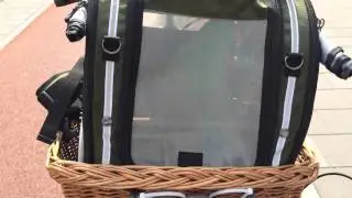 Phantom in the Pak-O-Bird!