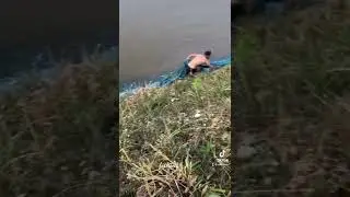 fish farming in chitwan madi #fishfarming #madi #chitwan