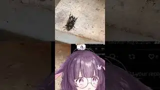 О, слава богу #vtuber #fallenshadow #twitch #vtuberclips #envtuber #twitchstreamer
