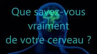 Testez vos connaissances sur votre cerveau - Neuroperformance consulting
