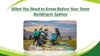 The Team Building Sydney - Teamwork VS Team Performance